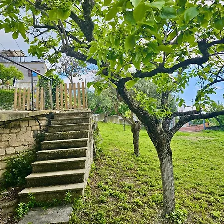 Appartamento S319 - Sirolo, Trilocale Vista Mare Con Giardino *