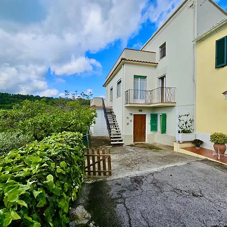 S319 - Sirolo, Trilocale Vista Mare Con Giardino * Сироло